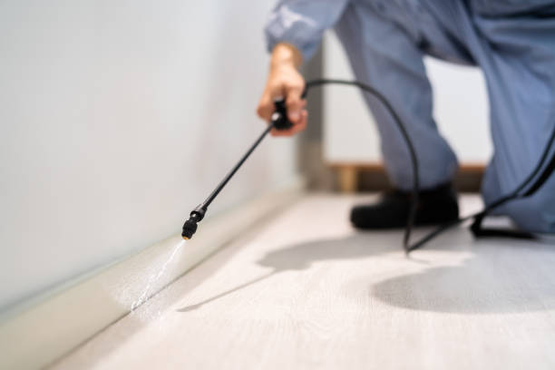 Bed Bug Pre-Treatment Preparation Assessment in Sleepy Eye