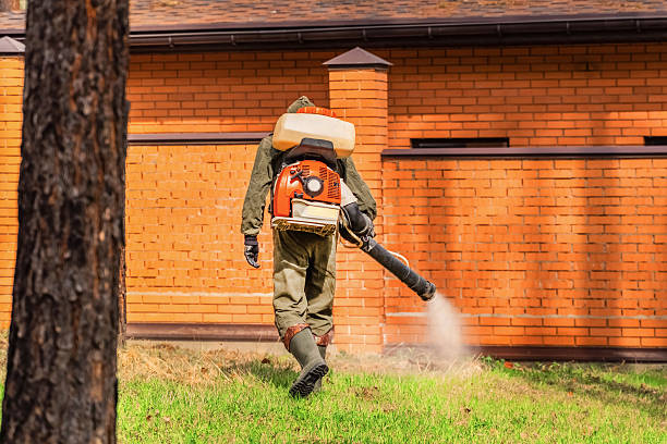Bed Bug Clearance Verification and Documentation in Sleepy Eye